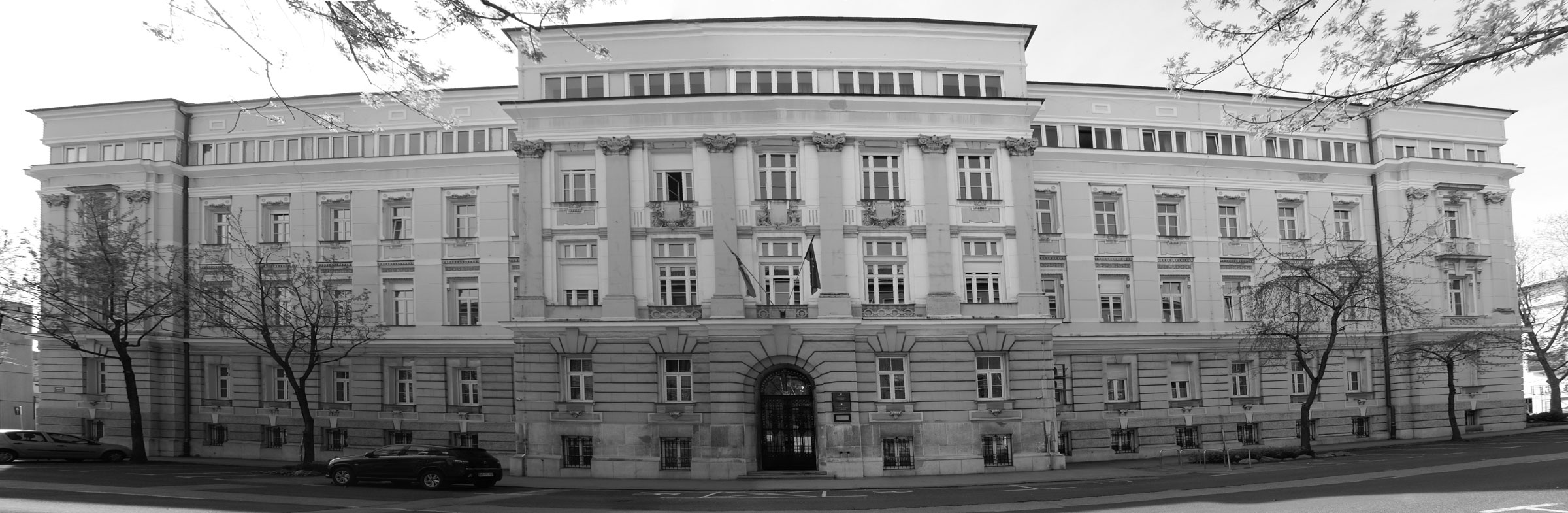 odvetnica-rija-krivograd-Panorama-uspela-l-bw